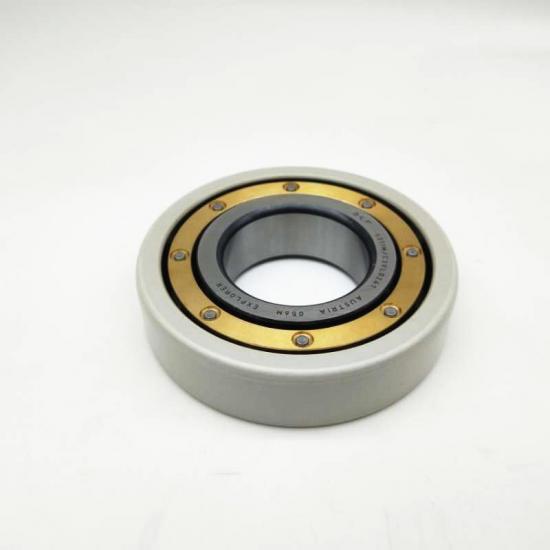 Outer Ring Insulated Bearing